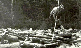 cropped-Image2-1.png