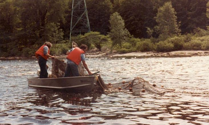 cropped-Capture-de-géniteurs-juillet-1983-1.jpg