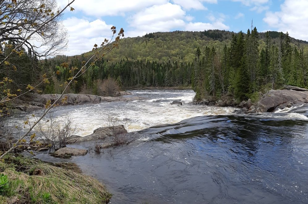 cropped-20190529_140301-1.jpg
